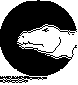 IGN-045B.BMP