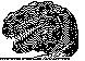 DRM-006B.BMP