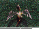 LDR-027C.BMP