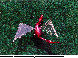 LDR-024C.BMP