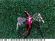 LDR-023C.BMP