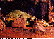 LDR-015C.BMP