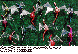 LDR-012C.BMP