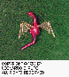 LDR-010C.BMP