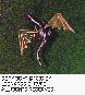 LDR-009C.BMP