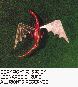 LDR-008C.BMP