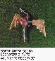 LDR-007C.BMP