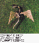 LDR-005C.BMP