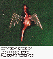 LDR-003C.BMP