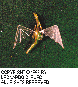LDR-002C.BMP