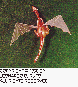 LDR-001C.BMP