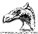 JLS-023G.BMP
