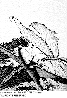 HRD-003G.BMP