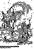 DZI-019B.BMP