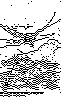 DZI-017B.BMP