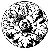 rosette_10389_sm.gif