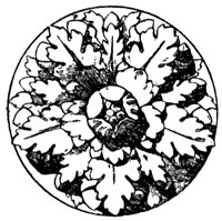 rosette_10389_lg.gif