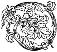 rosette_10390_md.gif