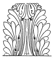 acanthus_10400_md.gif