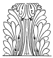 acanthus_10400_lg.gif