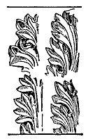 acanthus_10401_sm.gif
