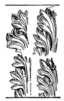 acanthus_10401_lg.gif