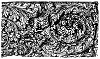 rinceau_10403_sm.gif