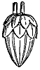 ornament_10411_th.gif