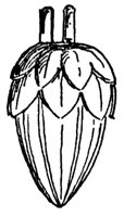 ornament_10411_md.gif
