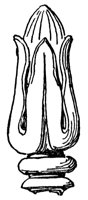 ornament_10412_lg.gif