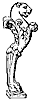 leg_10432_th.gif