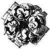 boss_10546_th.gif