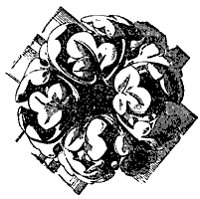 boss_10546_sm.gif