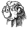 crocket_10556_th.gif