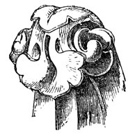 crocket_10556_lg.gif