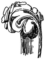 crocket_10563_lg.gif