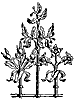 cresting_10568_th.gif