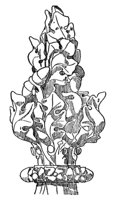 finial_10587_md.gif