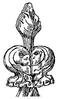 finial_10593_sm.gif