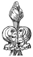 finial_10593_md.gif