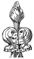 finial_10593_lg.gif