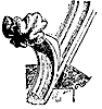 crocket_10603_th.gif