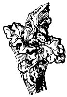 crocket_10629_sm.gif