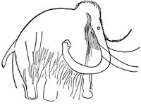mammoth_10815_md.gif