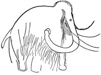 mammoth_10815_lg.gif