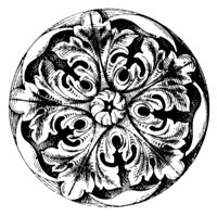cinquefoil_10894_lg.gif