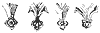 cusps_10903_th.gif