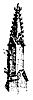 pinnacle_10917_th.gif