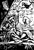 crow_10935_th.gif