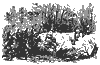 company_h_11015_th.gif